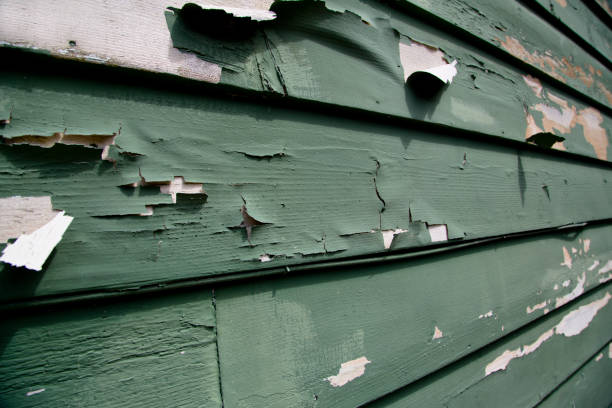 Best Custom Siding Design  in Center Point, AL