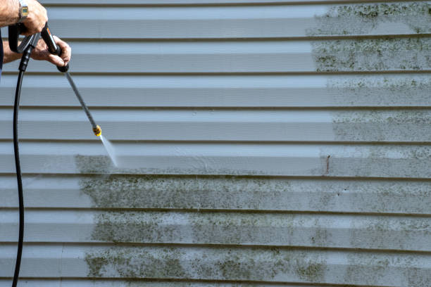 Best Stone Veneer Siding  in Center Point, AL